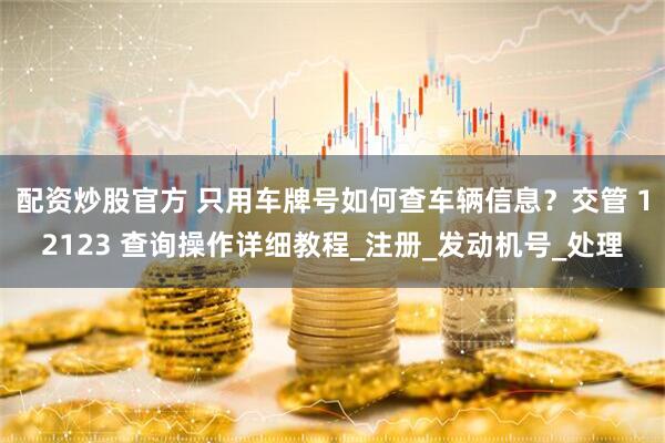 配资炒股官方 只用车牌号如何查车辆信息？交管 12123 查询操作详细教程_注册_发动机号_处理