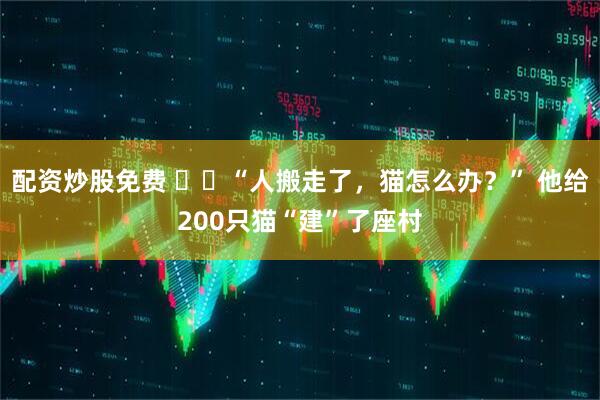 配资炒股免费 ​​“人搬走了，猫怎么办？” 他给200只猫“建”了座村